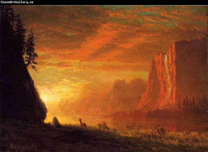 Albert Bierstadt Deer at Sunset